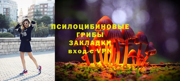 мдпв Горняк