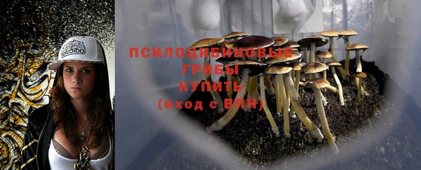 герыч Горнозаводск